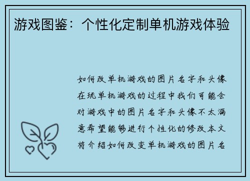 游戏图鉴：个性化定制单机游戏体验